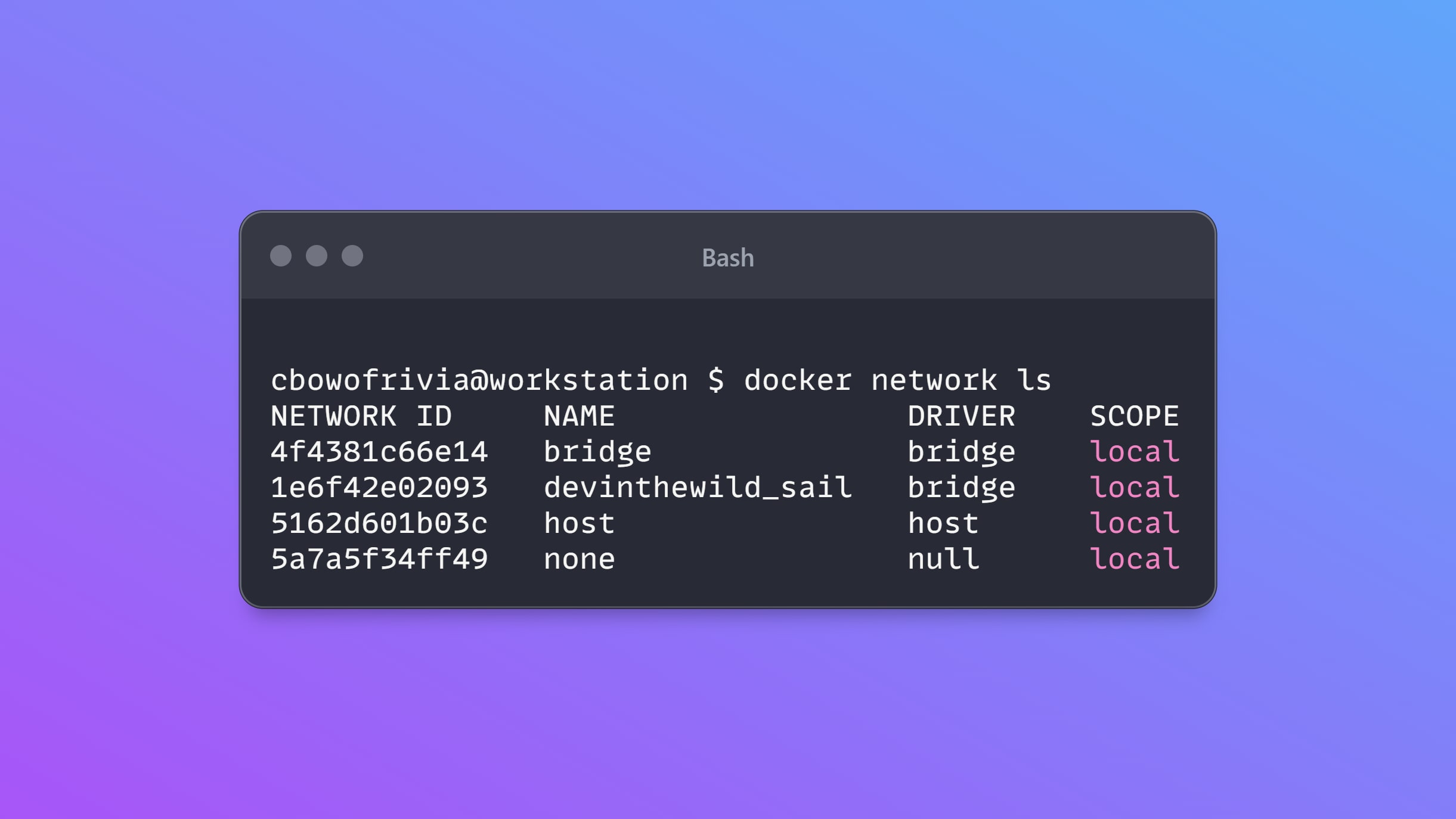 Terminal output screenshot after running the network list command