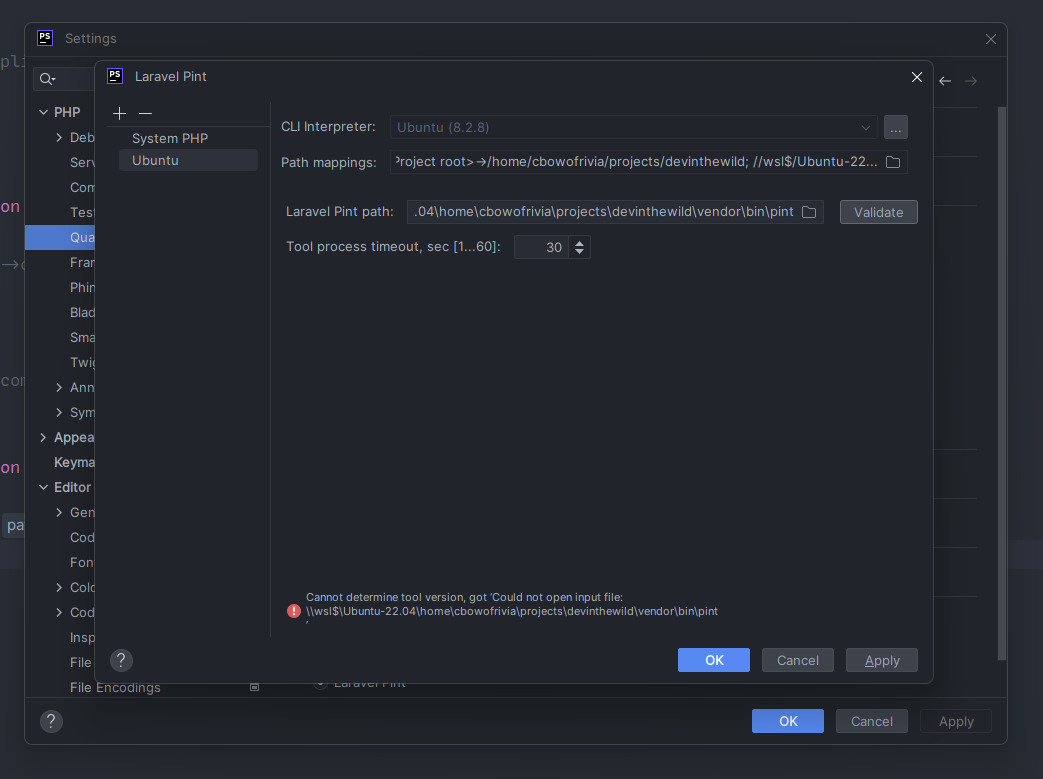 A screenshot of PhpStorms quality tool system settings with an error message