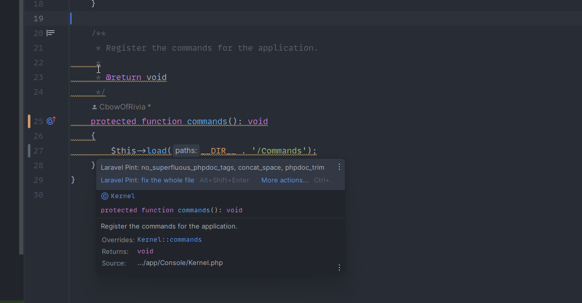 A screenshot showing Laravel Pint linting in PhpStorm's inspections